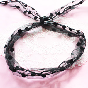 연예인와이어HB